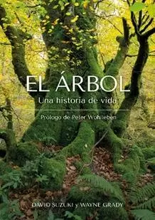 EL ARBOL. 